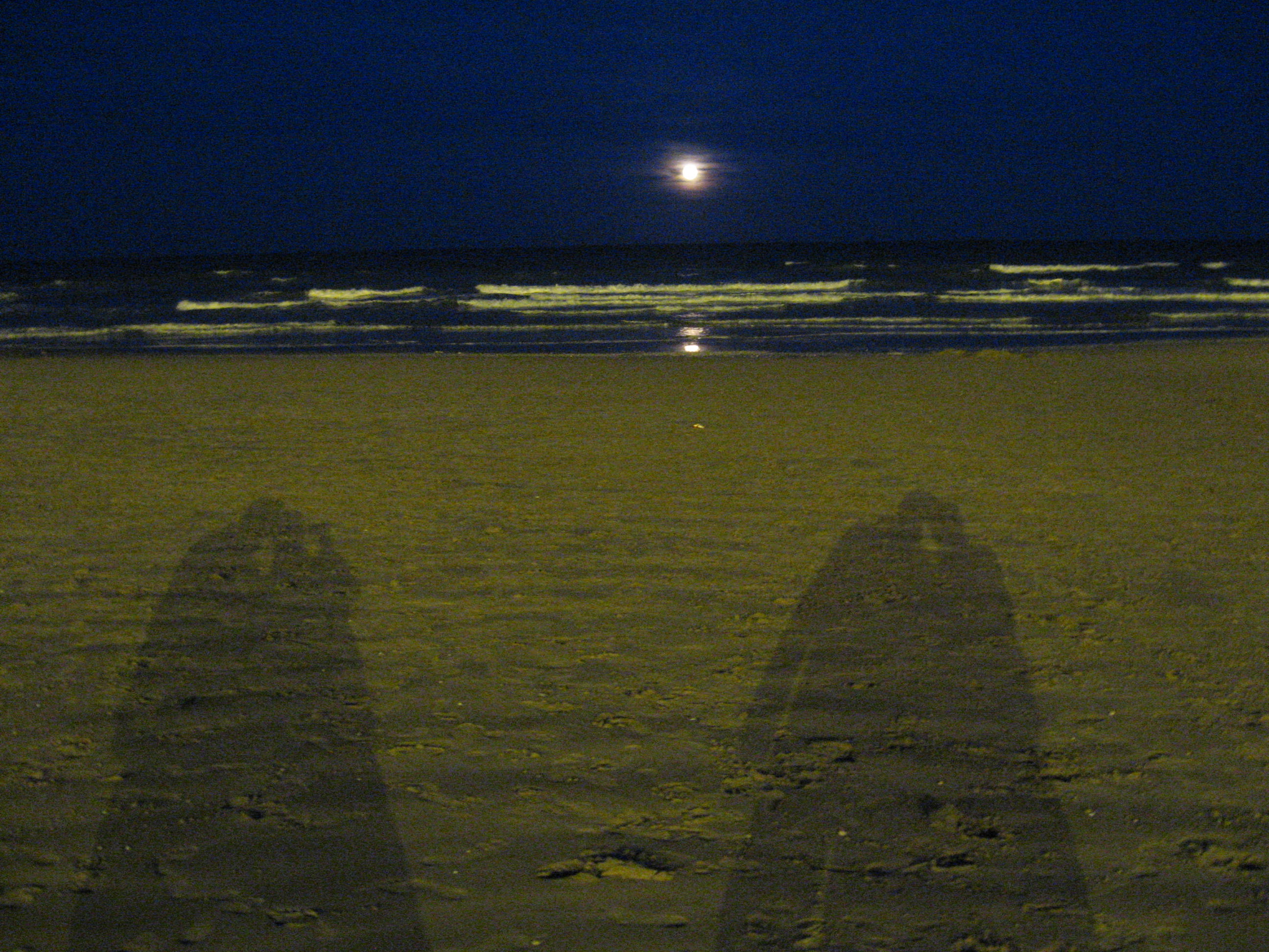 img4438.jpg